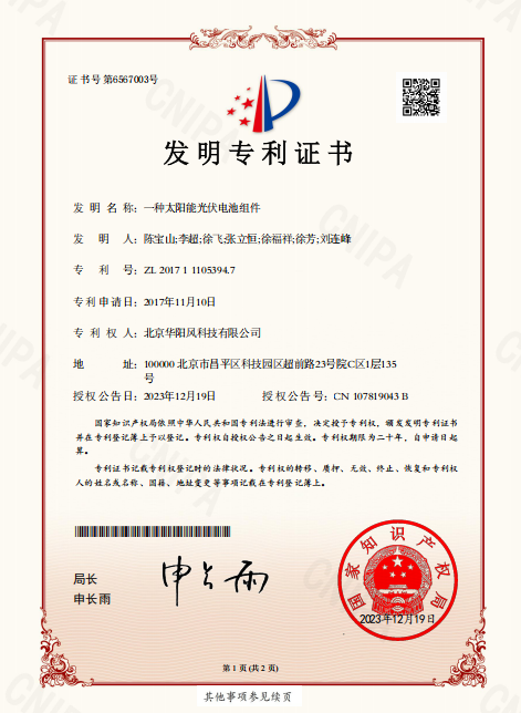 I类知识产权