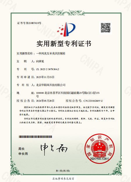 I类知识产权