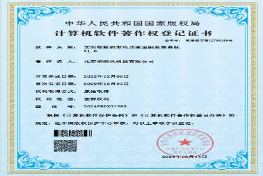 II类知识产权