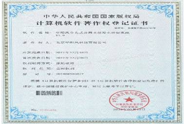 II类知识产权